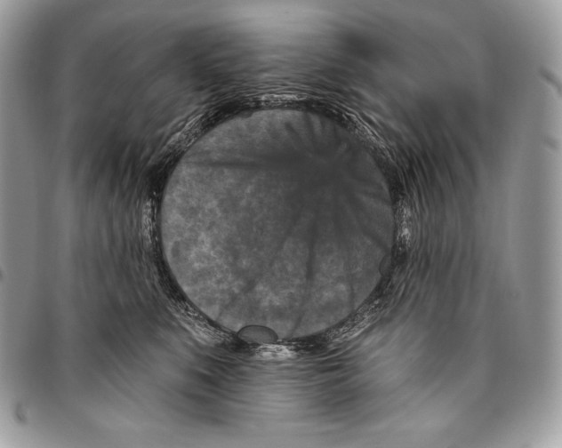 X0000094790519200712071231