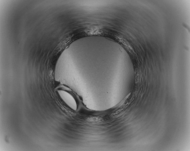 X0000094790521200712071231