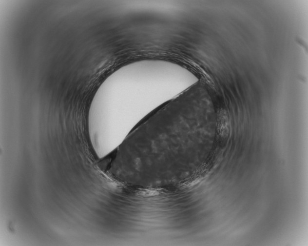 X0000094790523200712071231