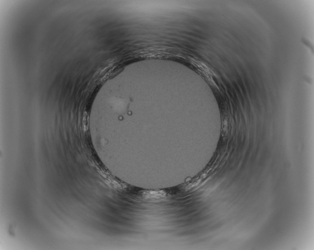 X0000094790525200712071231