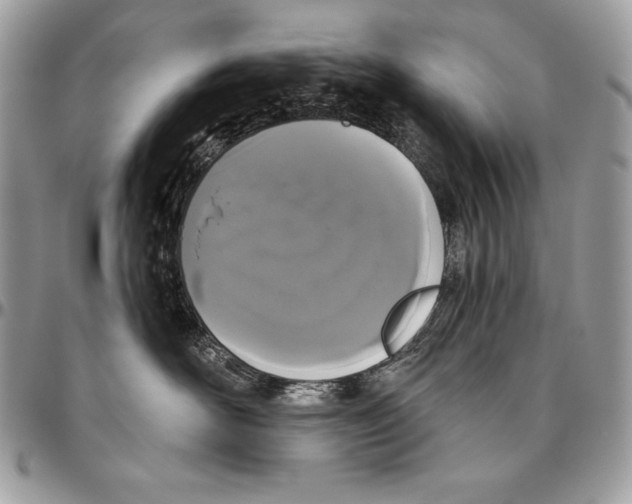 X0000094790526200712071231