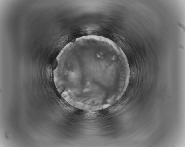 X0000094790527200712071231