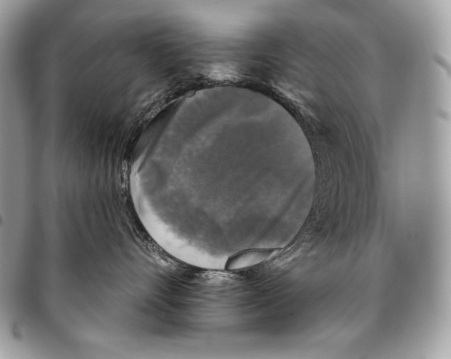 X0000094790528200712071231