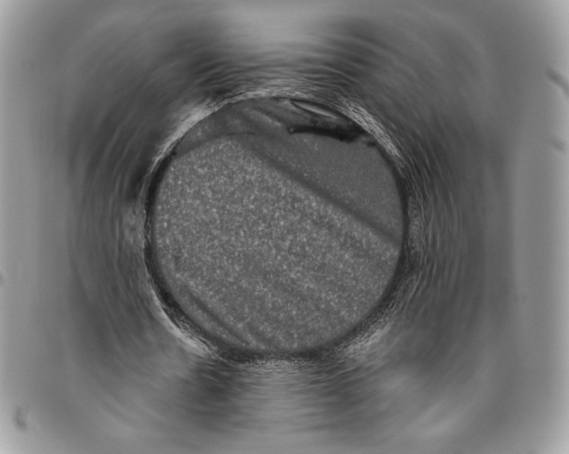 X0000094790530200712071230