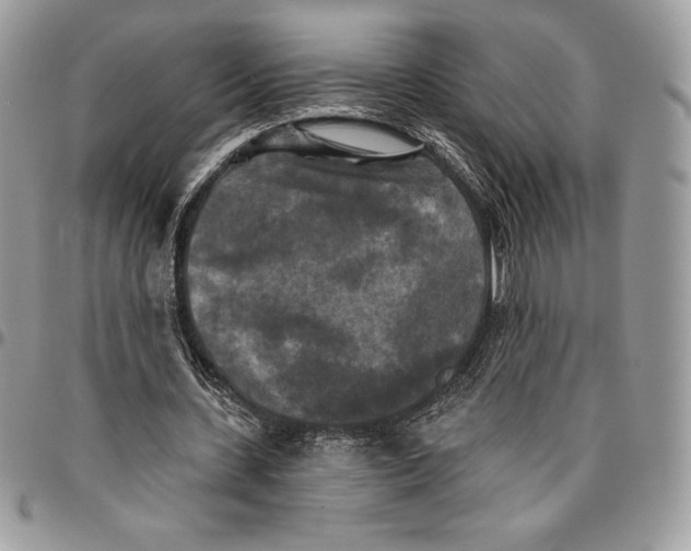 X0000094790531200712071230