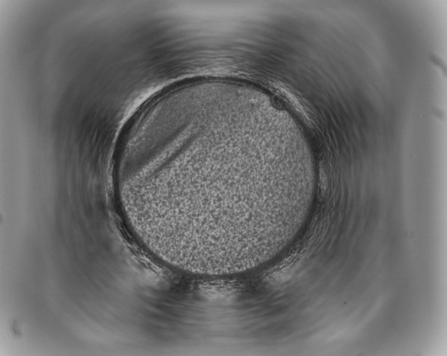 X0000094790532200712071230