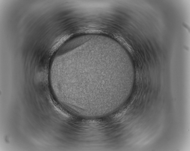 X0000094790533200712071230