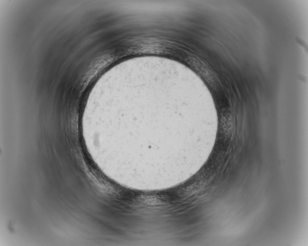 X0000094790534200712071230