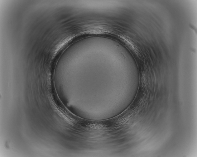 X0000094790535200712071230