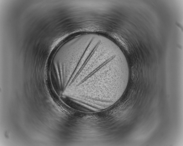 X0000094790536200712071230