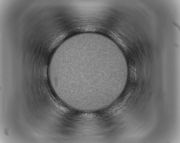 X0000094790537200712071230