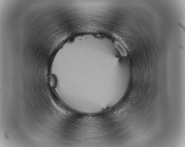 X0000094790538200712071230