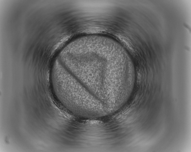 X0000094790539200712071230