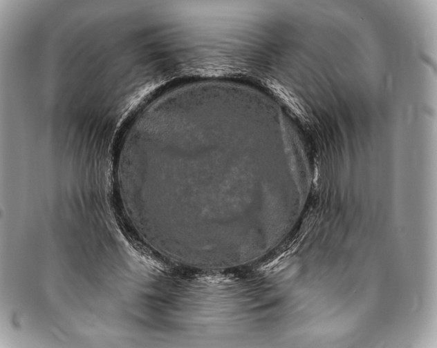 X0000094790540200712071230