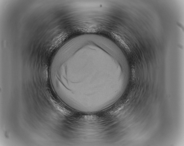 X0000094790541200712071230