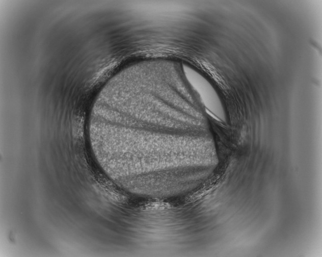 X0000094790543200712071230