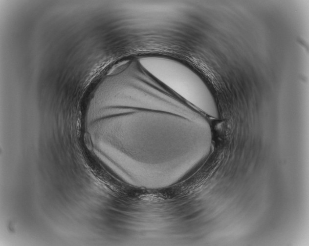 X0000094790544200712071231