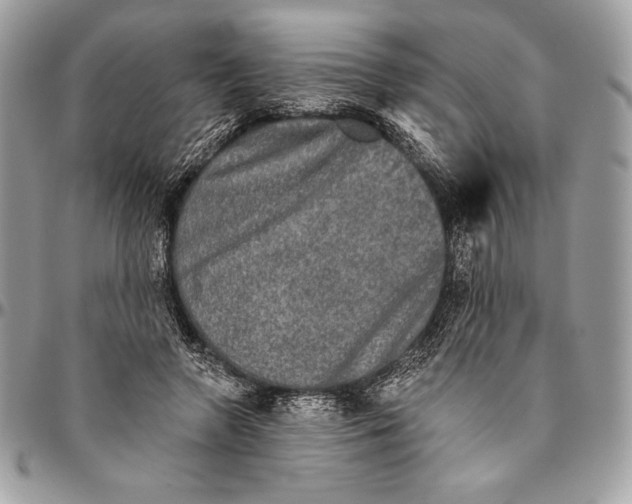 X0000094790546200712071231