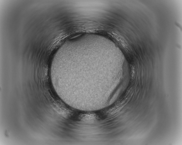 X0000094790548200712071231