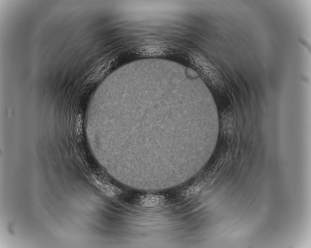 X0000094790549200712071231