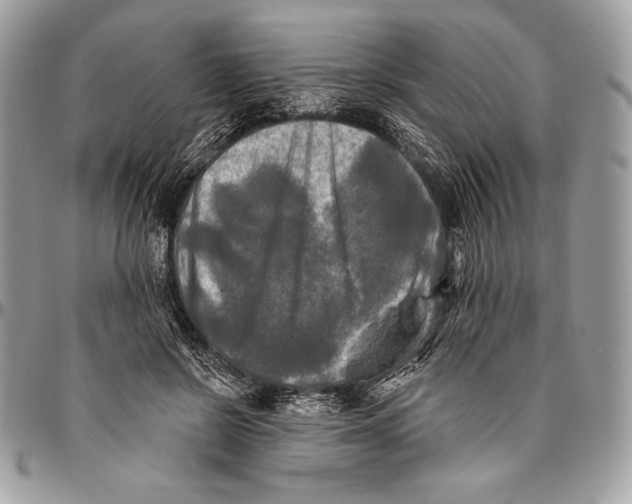 X0000094790550200712071231