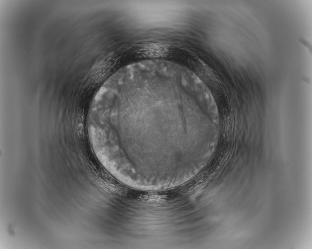 X0000094790553200712071231