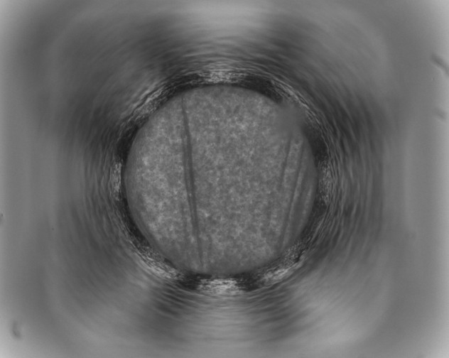 X0000094790554200712071231