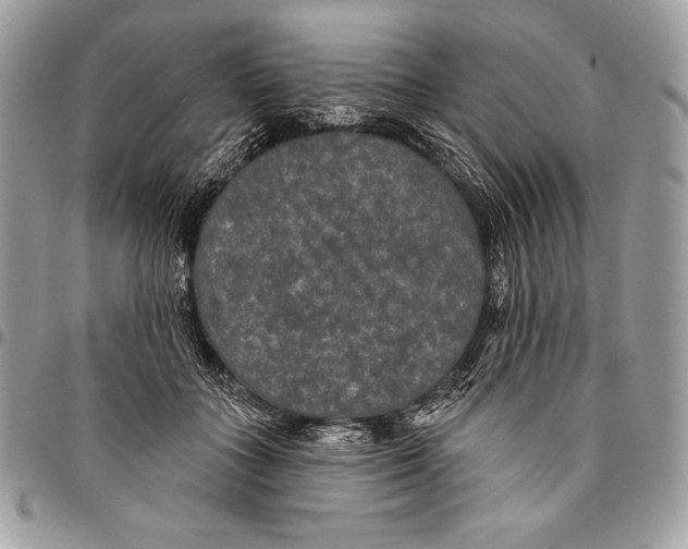 X0000094790555200712071231