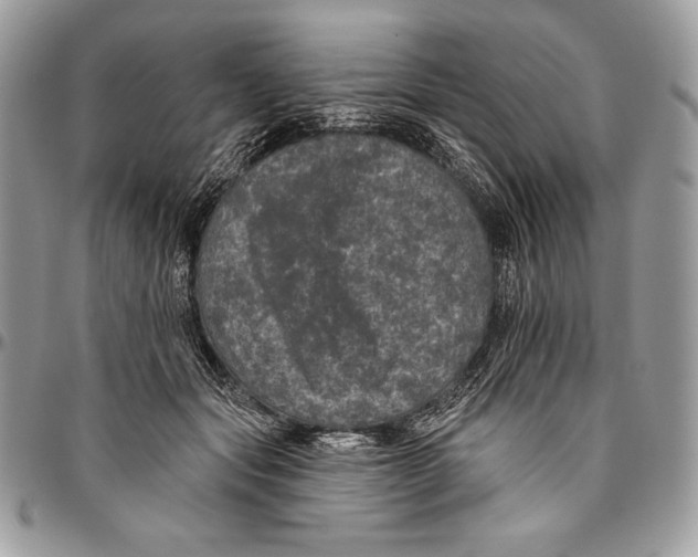 X0000094790557200712071231