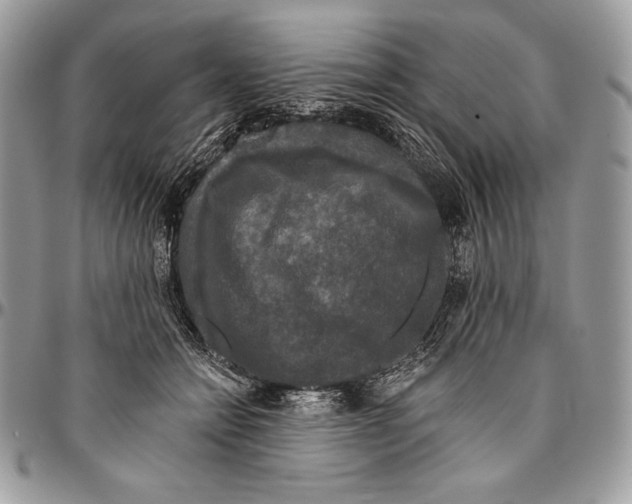 X0000094790558200712071231