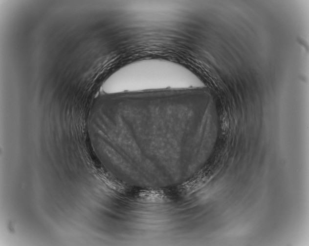 X0000094790559200712071231