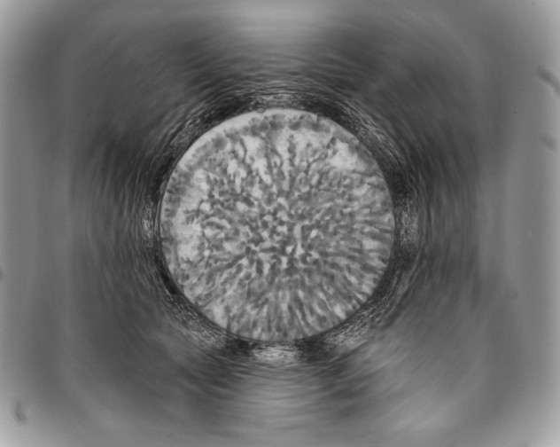 X0000094790561200712071231