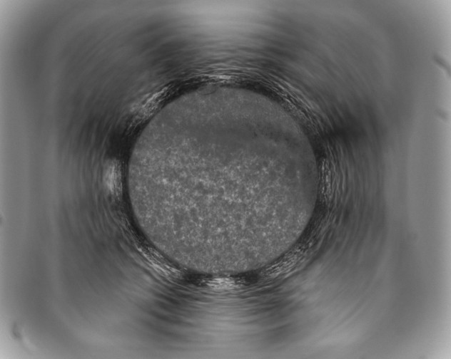 X0000094790562200712071231