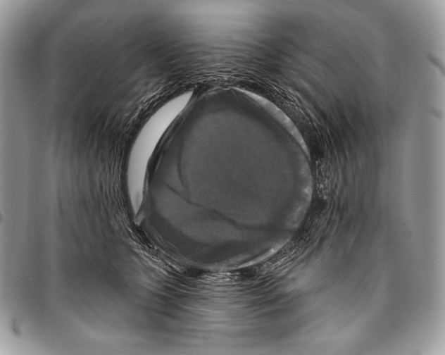 X0000094790563200712071231