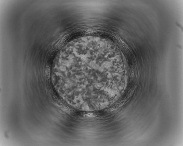 X0000094790565200712071231