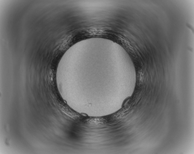 X0000094790567200712071231