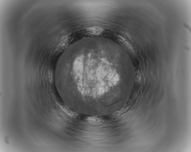 X0000094790568200712071231