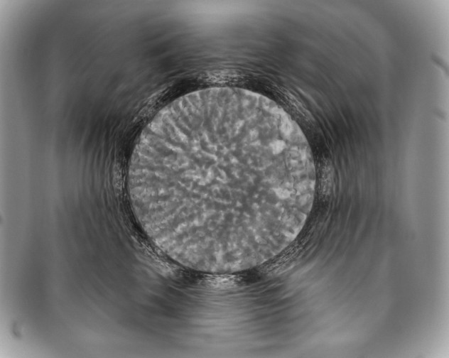 X0000094790569200712071231