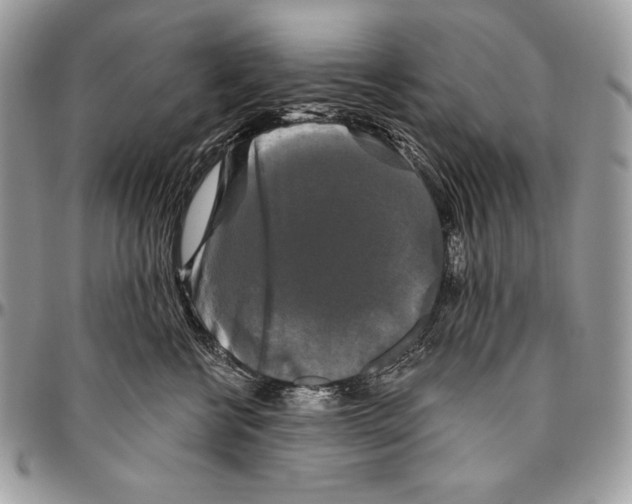 X0000094790570200712071231