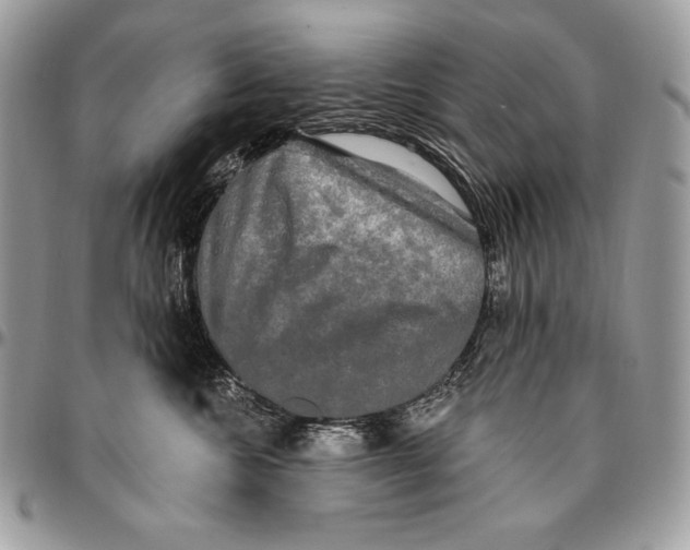 X0000094790572200712071231