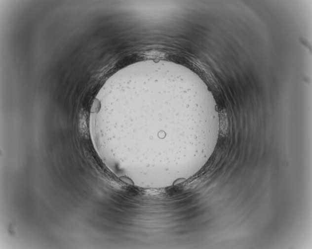 X0000094790573200712071231