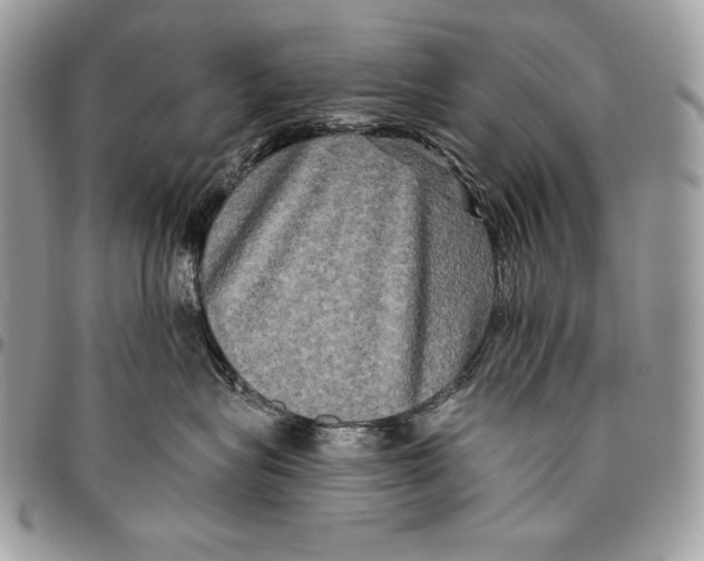 X0000094790575200712071231