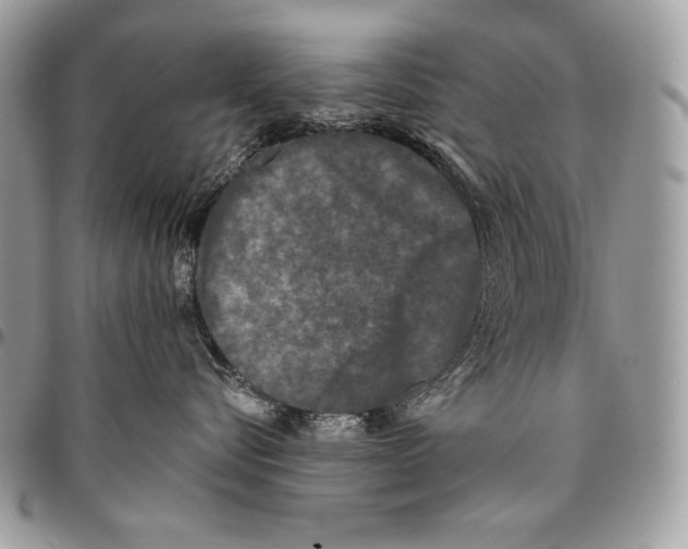 X0000094790576200712071231