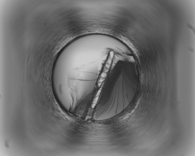 X0000094790577200712071230