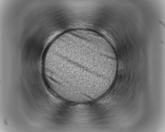 X0000094790578200712071230