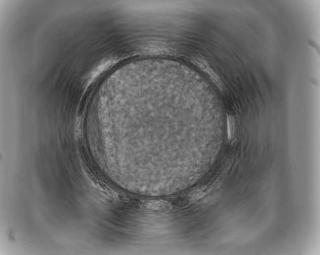 X0000094790579200712071230