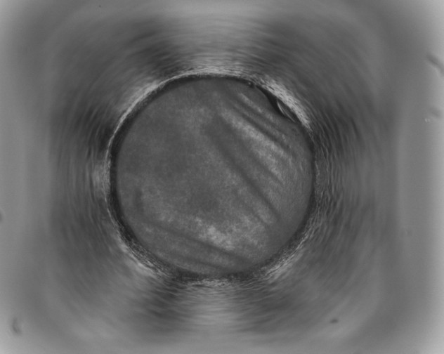 X0000094790580200712071230