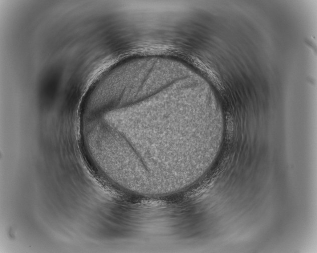 X0000094790582200712071230