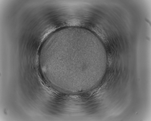 X0000094790583200712071230