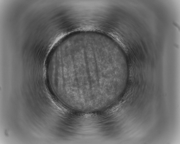 X0000094790584200712071230